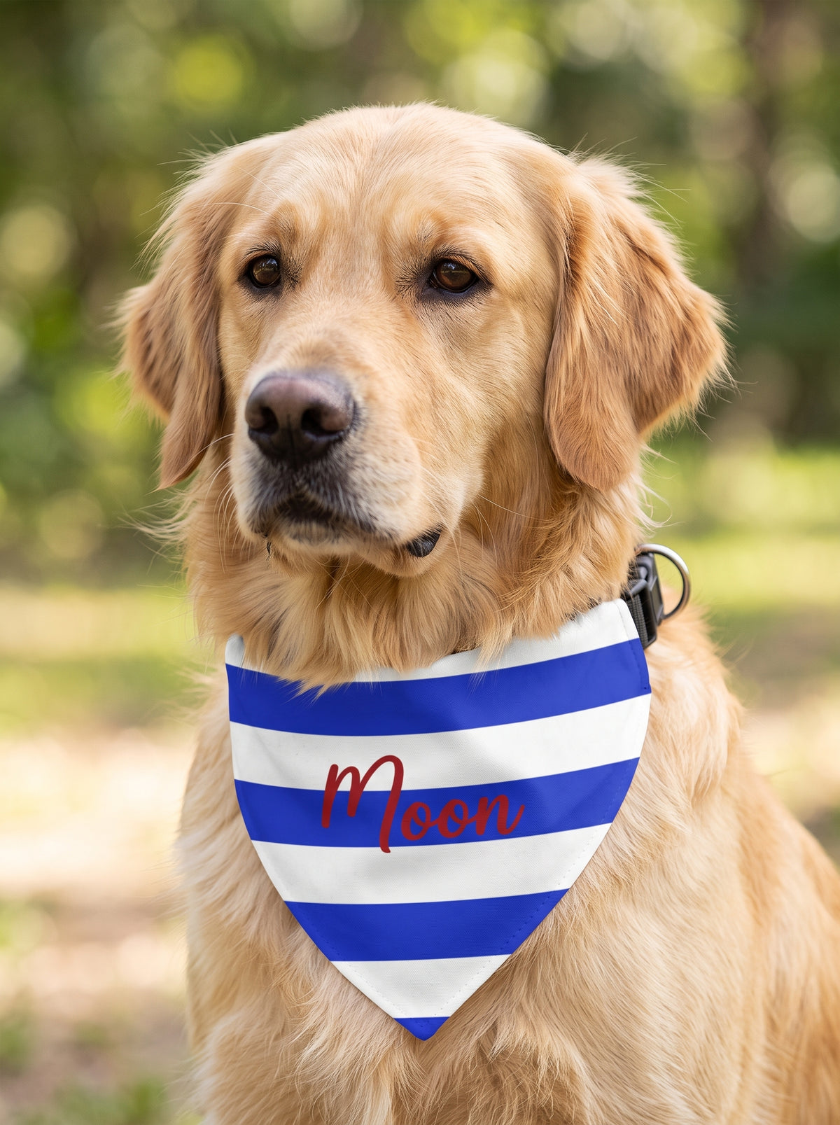 Blue Striped Pet Bandana with Custom Text